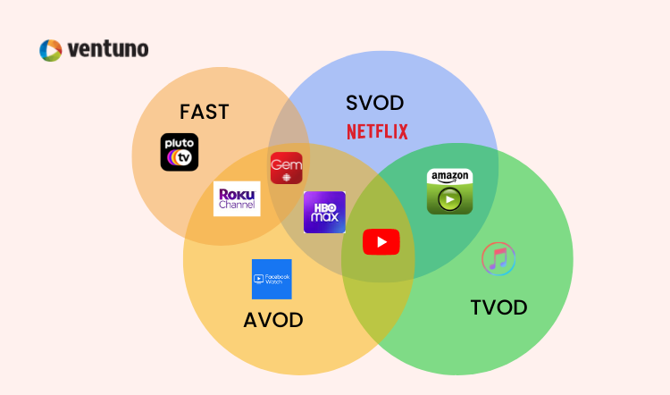 avod svod tvod examples