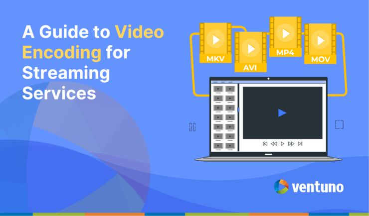 Video Encoding Guide